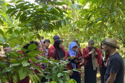 African, European countries interested in South Kalimantan's Borneo coffee