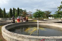 Kadiskan Sukabumi: Jangan hanya manfaatkan potensi sidat tapi juga harus dilindungi