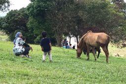 Kutalimabaru dikembangkan jadi destinasi wisata baru di Sumut