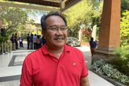 Bali Digifest 2023 targetkan Pulau Dewata jadi surga digital