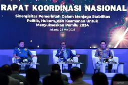 Internasional tak boleh campur tangan bebaskan pilot