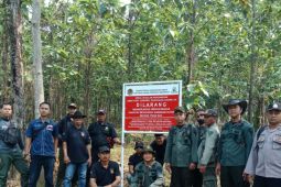 Perhutani Purwakarta tegaskan kawasan hutan di lahan sengketa