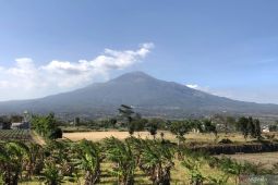 Pendakian Gunung Arjuno-Welirang kembali dibuka pascakebakaran
