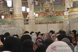 Laporan dari Tanah Suci - 23 kloter terima izin masuk Raudhah dan tidak ada pembatasan usia
