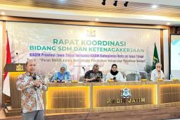 Pemerintah dan Kadin bakal dirikan TKDV di daerah