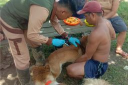 Disbunnak Kalbar ajak masyarakat bersama cegah dan kendalikan rabies
