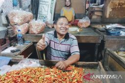 Harga bahan pokok di Samarinda Stabil periode bulan Mei