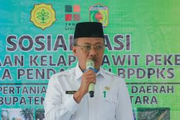 Wabup Morut sambut baik upaya peremajaan kelapa sawit bagi pekebun di Morowali Utara