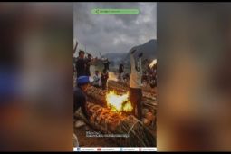 Festival tradisi adu kuluwung karbit di Bogor