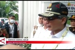 Wakil Menteri Pertanian panen raya di Karawang