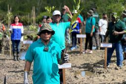 Kabupaten Sorong tanam 3.000 pohon bakau di Distrik Aimas