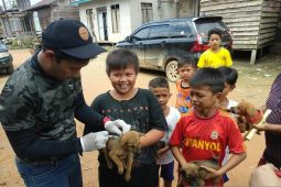 Pemprov Kalbar giatkan upaya pencegahan penularan rabies