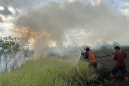 South Kalimantan waiting for water bombing heli, fires reach 80 hectares