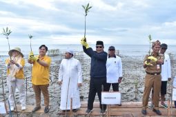 Kalsel tanam ribuan mangrove saat Hari Lingkungan Hidup Sedunia