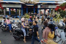 Mahasiswa Bengkulu bagikan 50 bibit pohon sambut hari lingkungan