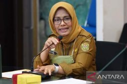 PUPR Ministry "gifts" Banjarmasin a suspension bridge