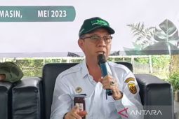 Banjarmasin targetkan 2.600 ekor sapi untuk Hari Raya Idul Adha