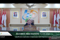 BPS catat Indonesia mengalami deflasi 0,03 persen pada Agustus 2024