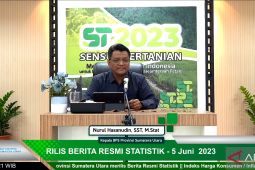 BPS: Harga gabah kering di Sumut  naik di petani dan penggilingan