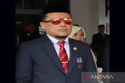 Investasi menjadi pondasi utama kemajuan daerah, kata Sekda Sukamara