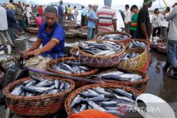BPS: Ikan tongkol dominan penyumbang inflasi Aceh pada Mei 2023