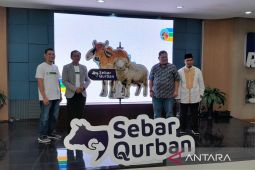 Human Initiative berdayakan peternak lokal sediakan hewan kurban lewat Program Sebar Qurban