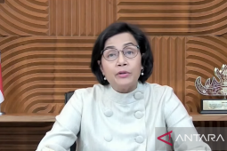 Menkeu sebut Sukuk ritel hijau telah diterbitkan Rp20,8 triliun