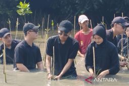 Cegah abrasi di Muaragembong,  Abang dan Mpok Bekasi tanam bakau