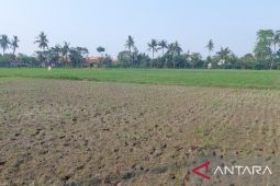 Pemkab Bekasi mitigasi areal sawah antisipasi dampak kekeringan