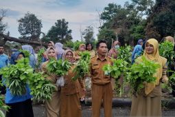 Panen ketiga, bukti suksesnya implementasi program "Blue Green" di kantor Gubernur Babel