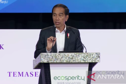 Presiden Jokowi janji akan fasilitasi investasi di IKN sebaik mungkin