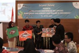 BKIPM Denpasar latih pengusaha mampu tahu ikan kakap-kerapu
