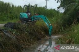 Babel rehabilitasi irigasi untuk antisipasi dampak El Nino