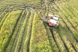 DPRD minta DKPP Seruyan maksimalkan lahan tidur