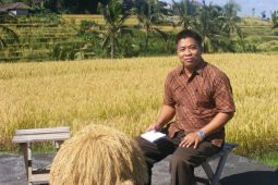 Akademisi Muliarta: Alih fungsi lahan turunkan produksi pangan nasional