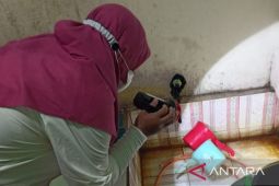 Pemkab Bekasi ajak warga turut aktif berantas jentik kendalikan DBD