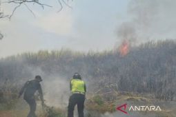 Dinas Kebakaran Purwakarta siaga penuh dan waspadai terjadinya karhutla
