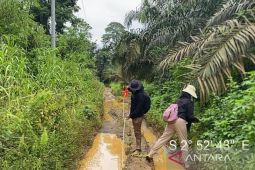 PUPR Kotabaru rencanakan peningkatan ruas jalan Bangkalan Dayak