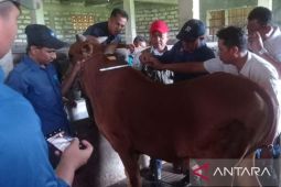 Antisipasi LSD, Pamekasan perketat pengawasan lalu lintas hewan kurban