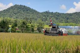 Realisasi investasi Januari-Maret 2023 di Kalimantan Barat capai Rp4,77 triliun