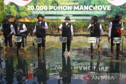 Khofifah sebut penanaman mangrove upaya jaga kelestarian alam