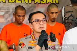 Polisi : Warga Denmark pamer kelamin bebas hukuman karena gangguan jiwa