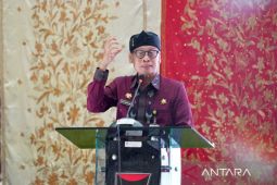 Antisipasi krisis pangan, Kementan dorong pemda buat terobosan