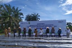 BI Pematang Siantar fasilitasi tanam cabai rawit di lahan tidur Simalungun