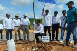 Ratusan tanaman "Sepatu" Dea hijaukan Jalan Nan Sarunai Tabalong
