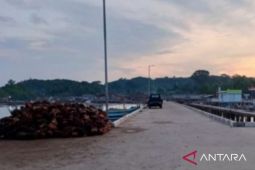 Babel kemarin, pengembangan Pelabuhan Sadai hingga optimalkan Program Germas