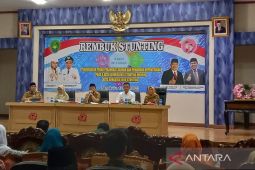 Ini delapan langkah Kota Bengkulu turunkan stunting
