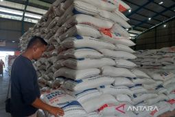 Pemkot Bengkulu distribusikan beras program CPP kepada 20.517 KPM