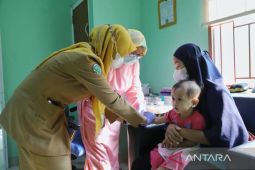 DP3AP2KB Tangerang bentuk 754 tim pendampingan keluarga tangani stunting