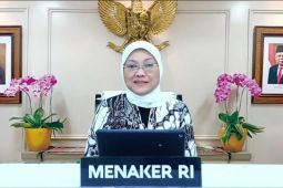 Kemnaker canangkan gerakan bebas pekerja anak di perkebunan sawit